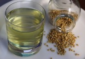 ধনিয়া চা পানে দূর হবে মাথা ব্যথা