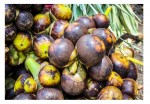 তালের পুষ্টিগুণ এবং উপকারীতা