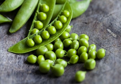 জেনে নিন মটরশুঁটির পুষ্টিগুণ ও উপকারীতাগুলো