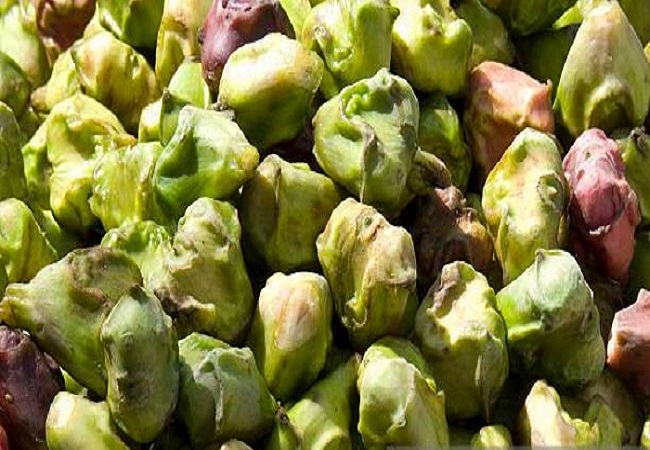 পানিফল