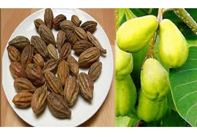 কোষ্ঠ্যকাঠিন্যের সমস্যা কমায় হরিতকী