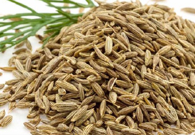 শরীরের হাড় শক্ত এবং মজবুতে সহায়ক জিরা