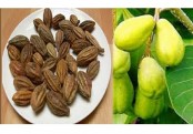 কোষ্ঠ্যকাঠিন্যের সমস্যা কমায় হরিতকী
