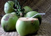 কিডনির সুস্থতায় ডাবের পানি