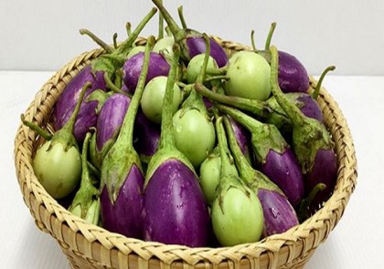  ত্বকের জন্যে বেগুন