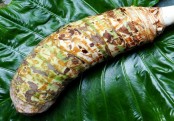 শরীর সুস্থ্য রাখে মানকচু