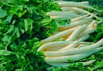 হার্ট ভালো রাখে মুলা