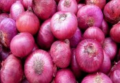 ডায়েবেটিসের আশঙ্কা কমায় পেঁয়াজ