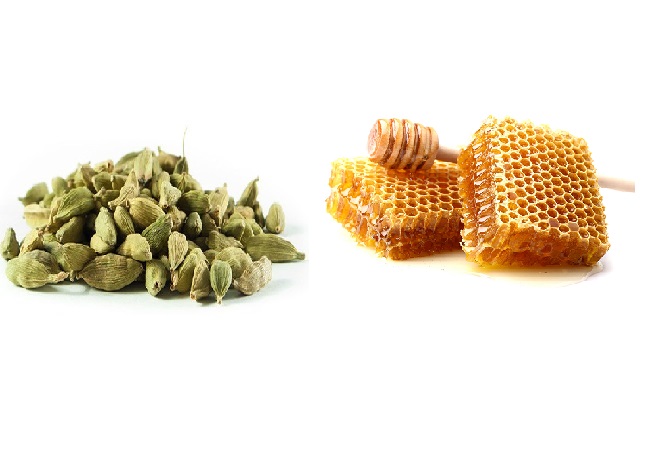 সর্দি-কাশির যন্ত্রণা প্রতিকারে এলাচ মধু