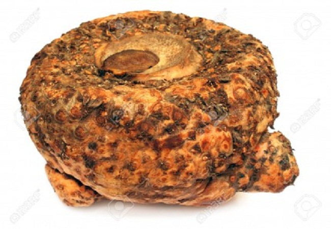 গাছ চিনুনঃ ওলকচু
