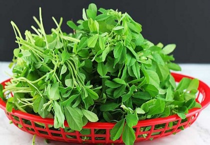গাছ চিনুনঃ মেথি
