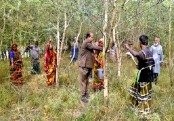 গাছ চিনুনঃ খয়ের