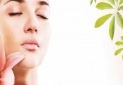 লাবণ্যময় ত্বকের জন্য  চা ও মধুর ফেসপ্যাক