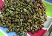 আমিষের অভাব পূরণে শিমের বীচির কার্যকরী গুণ