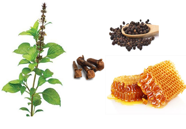 হাঁপানি নিরাময়ে সহায়ক লবঙ্গ তুলসী