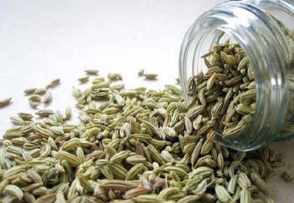 স্বাস্থ্য পরিচর্যায় খেতে পারেন মৌরি