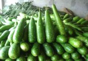 লাউয়ের পুষ্টিগুন