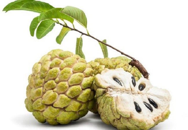 আতা ফলের ঔষধি গুণ