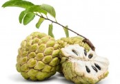আতা ফলের ঔষধি গুণ