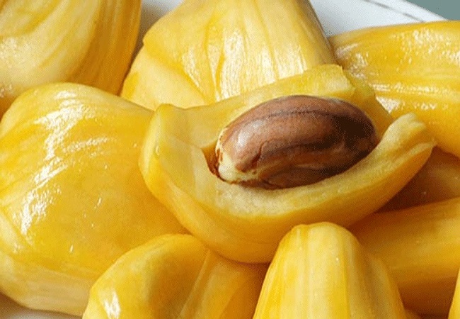 কাঁঠাল বীজের অজানা গুণ