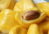 কাঁঠাল বীজের অজানা গুণ