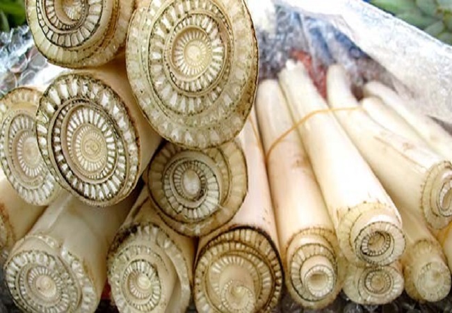কলার থোড়ের উপকারিতা