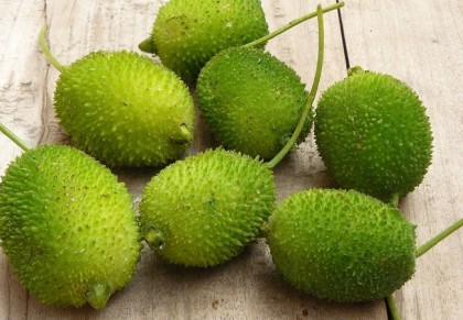 ভাইরাস আক্রমণ ও রোগ-প্রতিরোধে কাকরোল