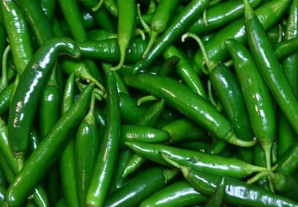 ভিটামিন-সি যুক্ত কাঁচামরিচের উপকারিতা