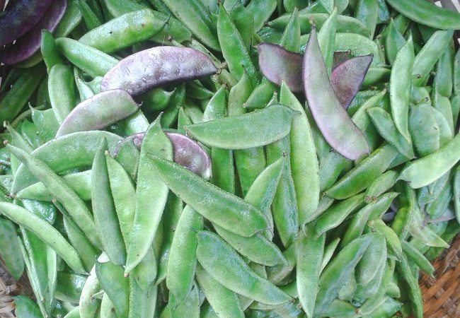 খাবারের অরুচি ভাব দূর করে শিম