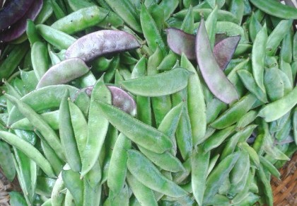 খাবারের অরুচি ভাব দূর করে শিম