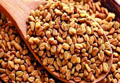খালি পেটে মেথি খাওয়ার উপকারিতা জানেন তো?