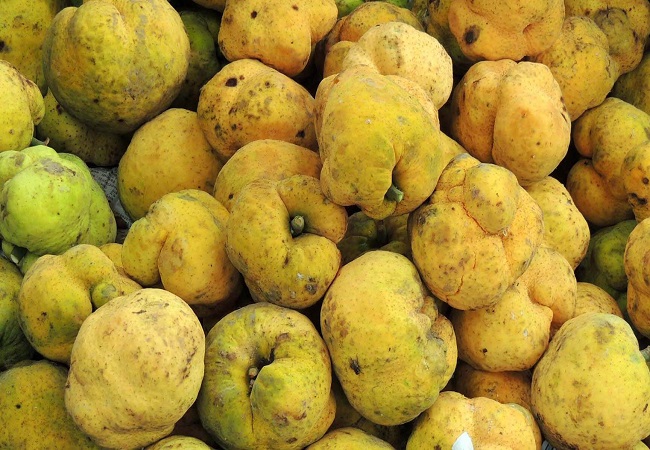 মুখের রুচি ফেরাতে ডেউয়ার ব্যবহার
