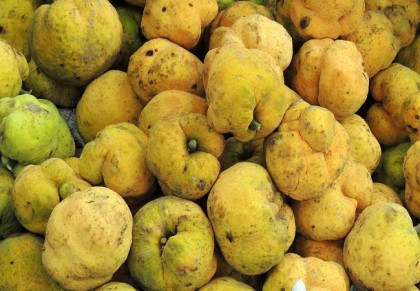 মুখের রুচি ফেরাতে ডেউয়ার ব্যবহার